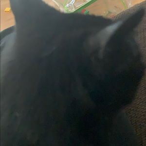 Meet your Posher, Katherine